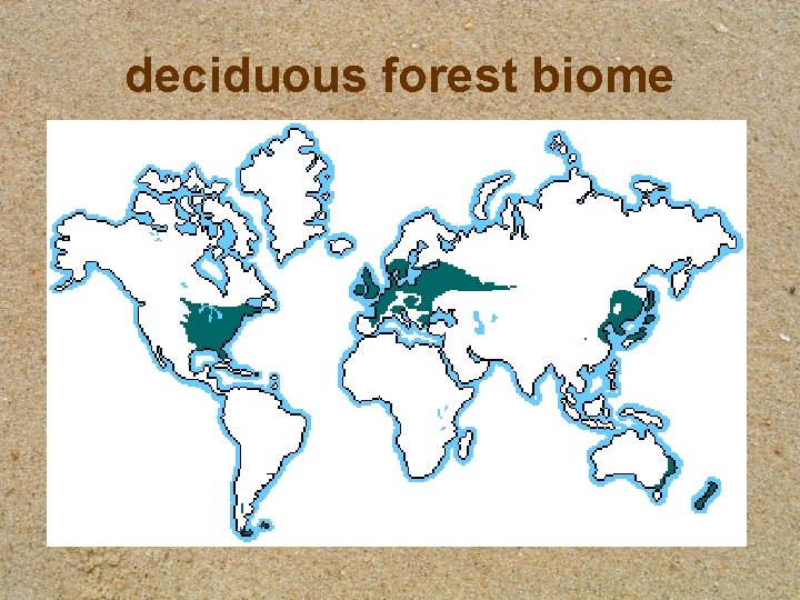 deciduous forest biome 