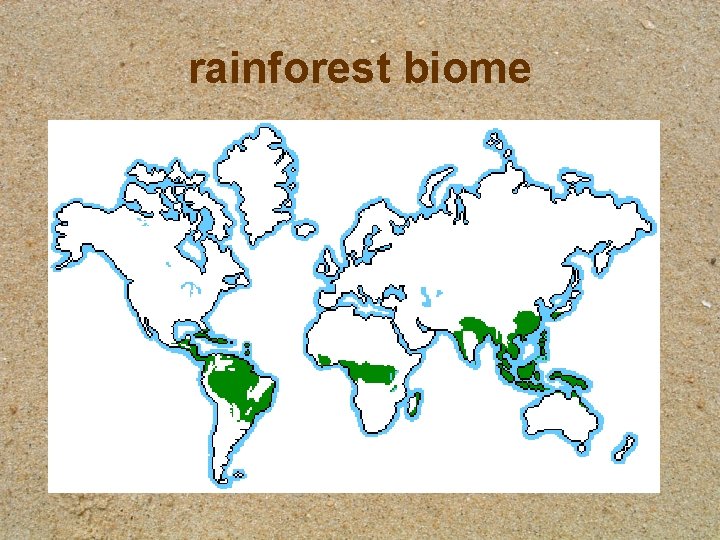rainforest biome rainforest biome