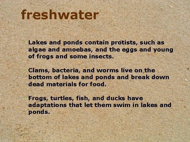 freshwater • Lakes and ponds contain protists, such as algae and amoebas, and the