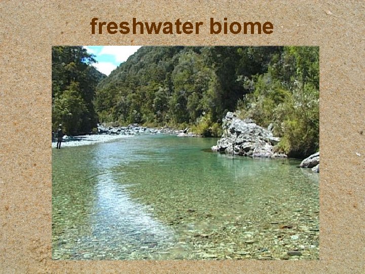 freshwater biome 
