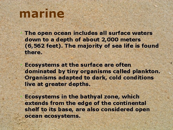 marine • The open ocean includes all surface waters down to a depth of