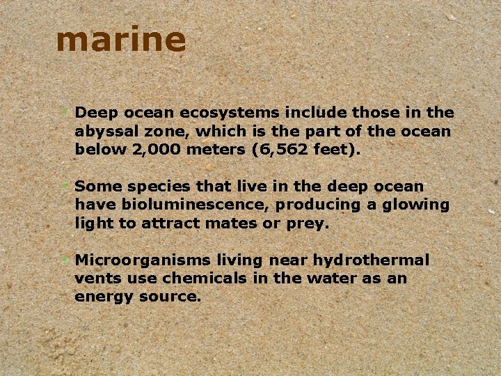 marine • Deep ocean ecosystems include those in the abyssal zone, which is the