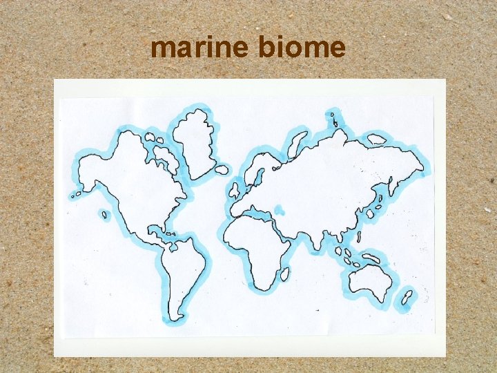 marine biome 