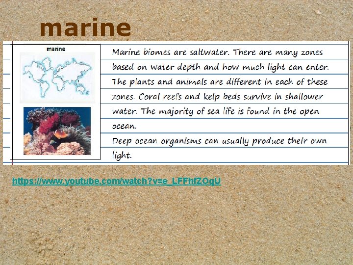 marine https: //www. youtube. com/watch? v=e_LFFhf. ZOq. U 