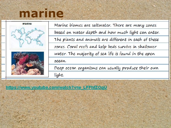 marine https: //www. youtube. com/watch? v=e_LFFhf. ZOq. U marine https: //www. youtube. com/watch? v=e_LFFhf. ZOq. U