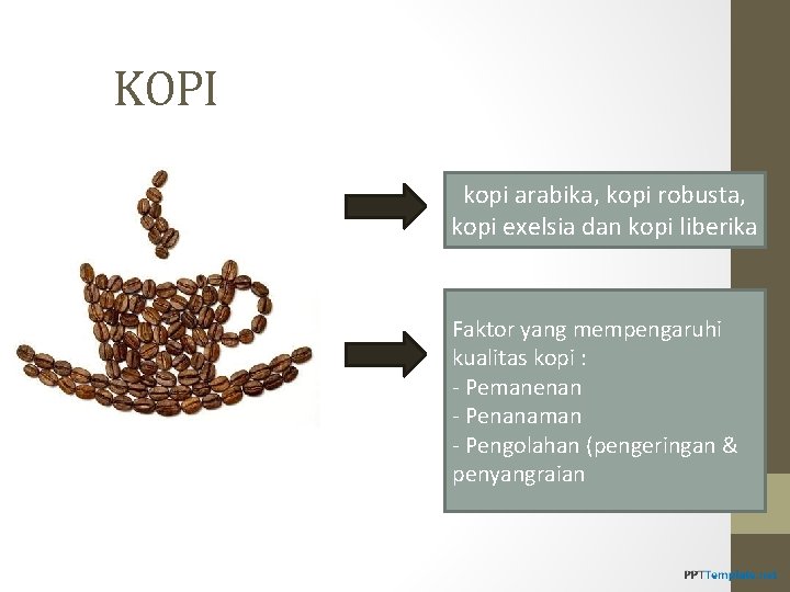 KOPI kopi arabika, kopi robusta, kopi exelsia dan kopi liberika Faktor yang mempengaruhi kualitas