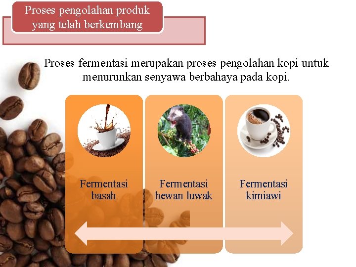 Proses pengolahan produk yang telah berkembang Proses fermentasi merupakan proses pengolahan kopi untuk menurunkan