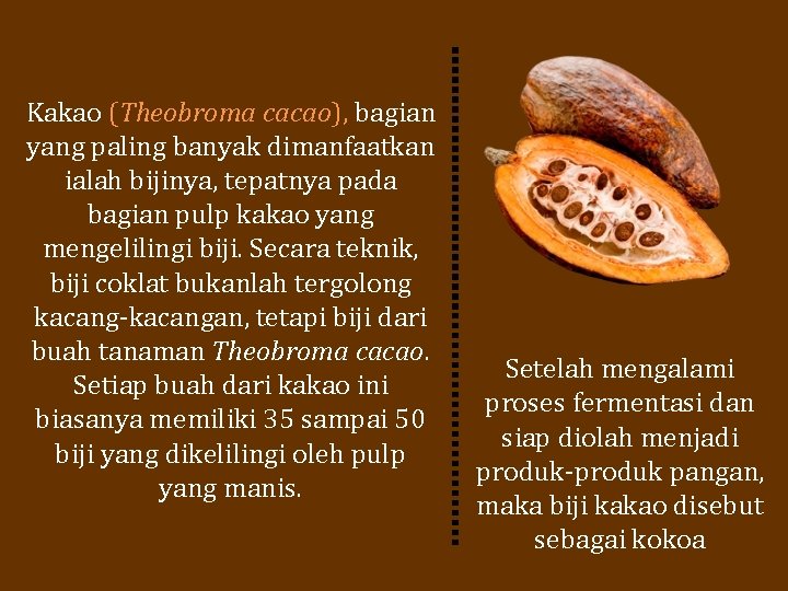 Kakao (Theobroma cacao), bagian yang paling banyak dimanfaatkan ialah bijinya, tepatnya pada bagian pulp