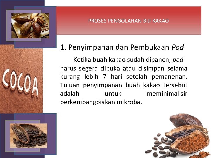  PROSES PENGOLAHAN BIJI KAKAO • 1. Penyimpanan dan Pembukaan Pod Ketika buah kakao