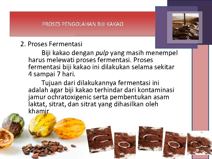 PROSES PENGOLAHAN BIJI KAKAO 2. Proses Fermentasi Biji kakao dengan pulp yang masih menempel