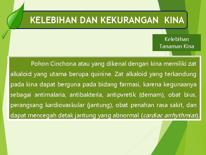 KELEBIHAN DAN KEKURANGAN KINA Kelebihan Tanaman Kina Pohon Cinchona atau yang dikenal dengan kina