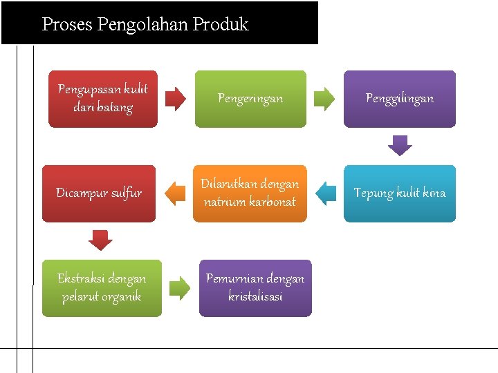 Proses Pengolahan Produk Pengupasan kulit dari batang Pengeringan Penggilingan Dicampur sulfur Dilarutkan dengan natrium