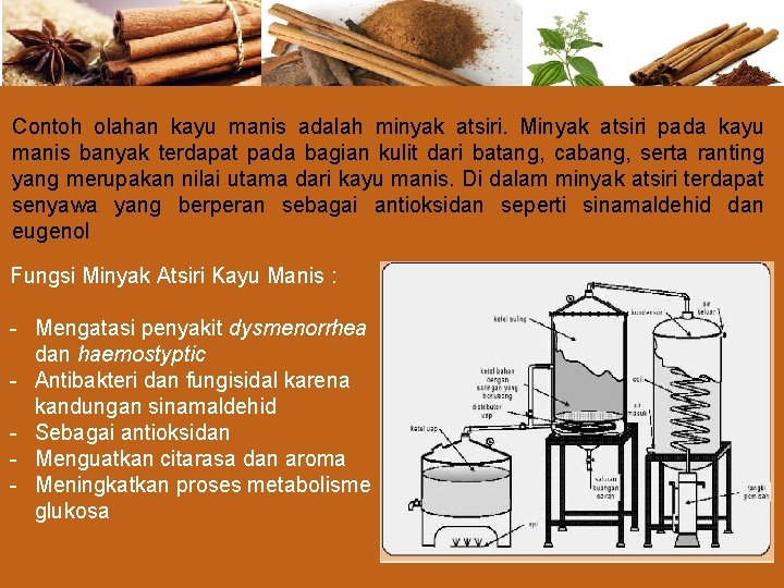 Contoh olahan kayu manis adalah minyak atsiri. Minyak atsiri pada kayu manis banyak terdapat