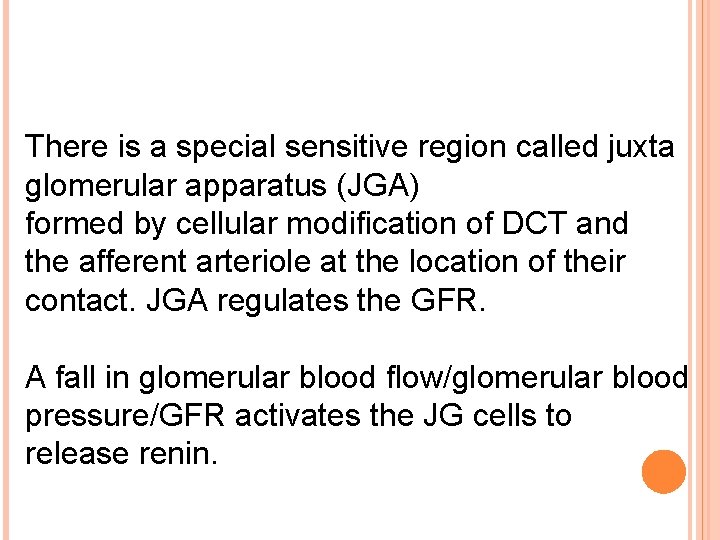  There is a special sensitive region called juxta glomerular apparatus (JGA) formed by