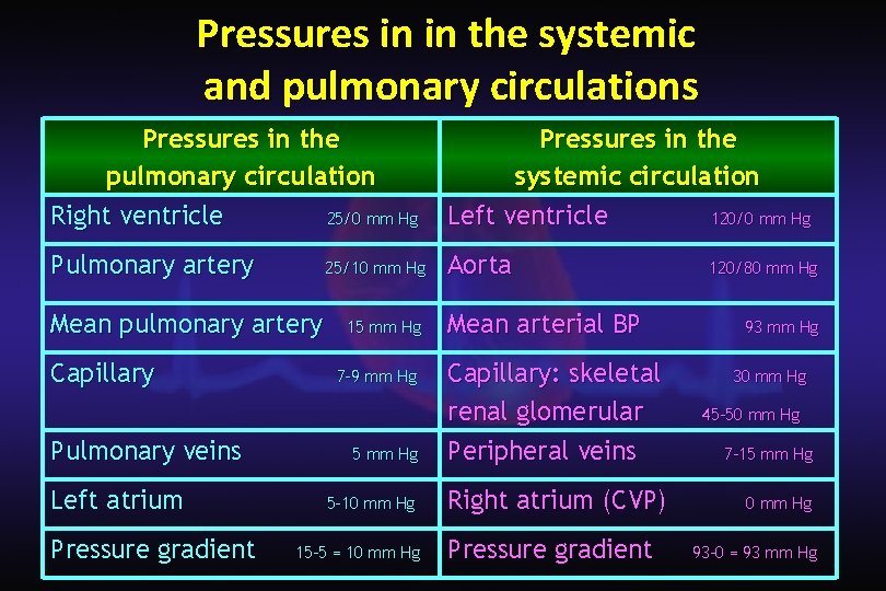 Pressures in in the systemic and pulmonary circulations Pressures in the pulmonary circulation Right