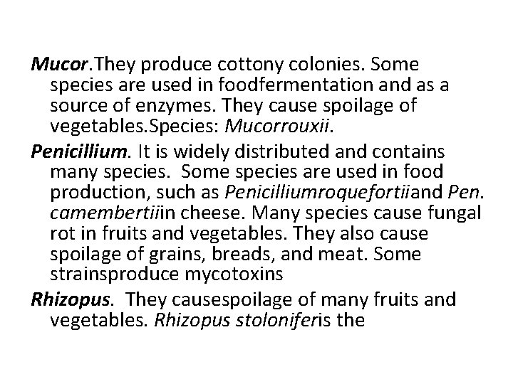 Mucor. They produce cottony colonies. Some species are used in foodfermentation and as a