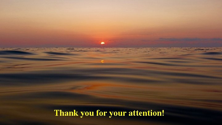 Thank you for your attention! 