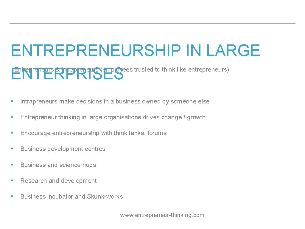 ENTREPRENEURSHIP IN LARGE ‣ ENTERPRISES Entrepreneurs & Intrapreneurs (employees trusted to think like entrepreneurs)