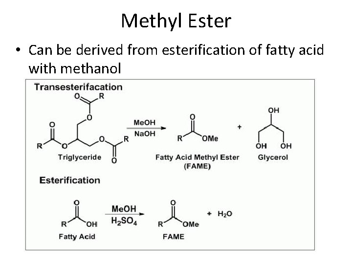 Methyl Ester • Can be derived from esterification of fatty acid with methanol 