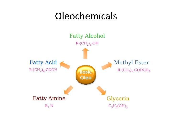 Oleochemicals 