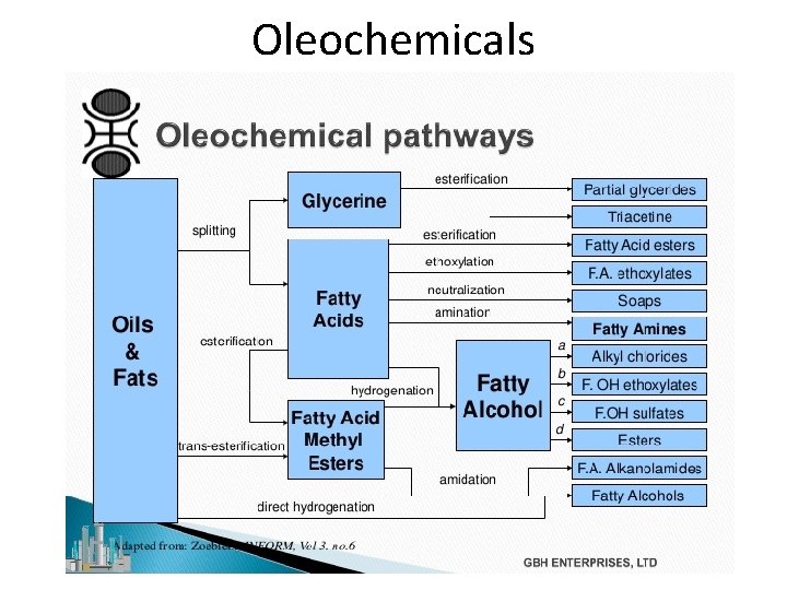 Oleochemicals 