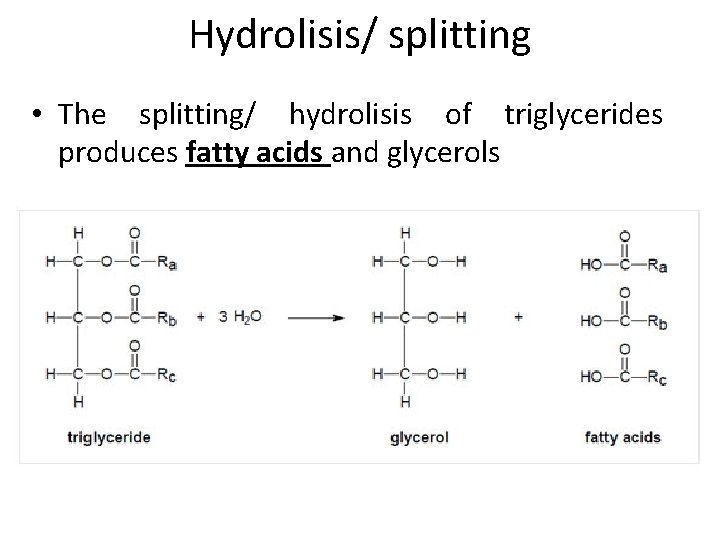 Hydrolisis/ splitting • The splitting/ hydrolisis of triglycerides produces fatty acids and glycerols 
