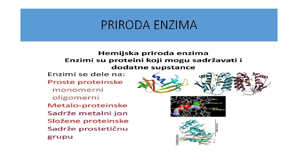 PRIRODA ENZIMA 