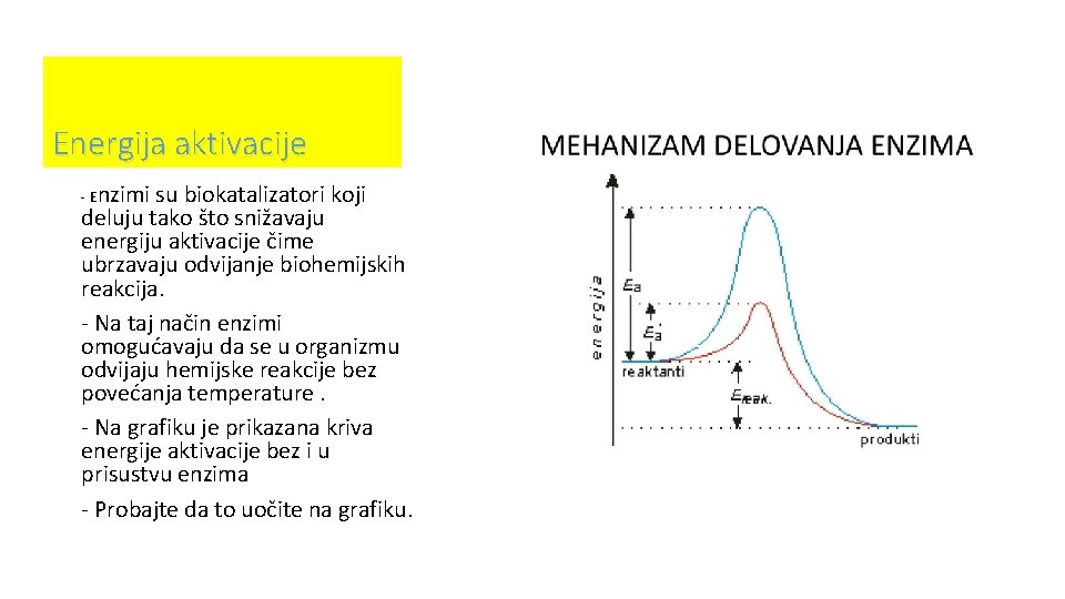 Energija aktivacije - Enzimi su biokatalizatori koji deluju tako što snižavaju energiju aktivacije čime