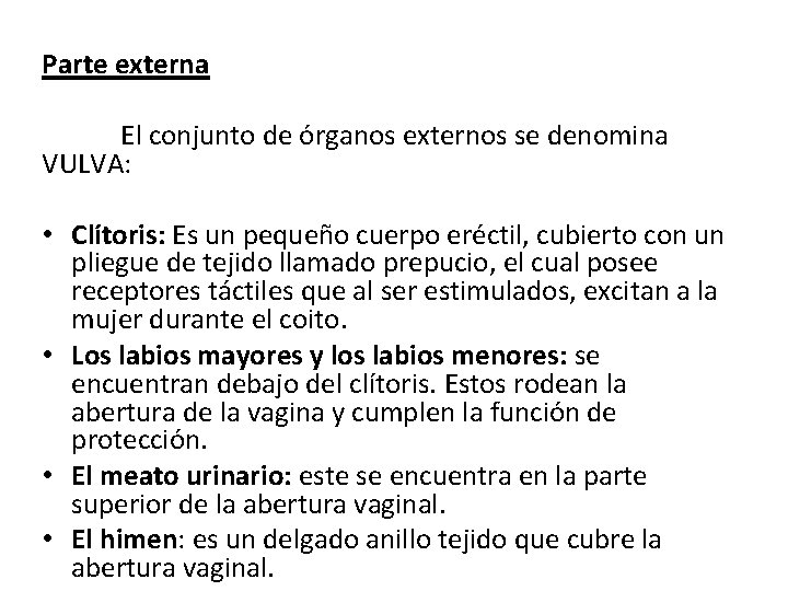 Parte externa El conjunto de órganos externos se denomina VULVA: • Clítoris: Es un