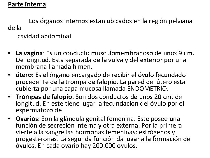 Parte interna Los órganos internos están ubicados en la región pelviana de la cavidad