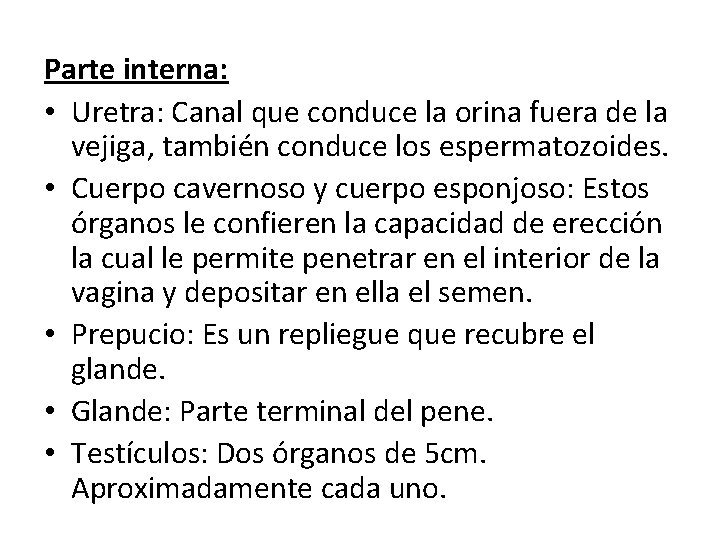 Parte interna: • Uretra: Canal que conduce la orina fuera de la vejiga, también