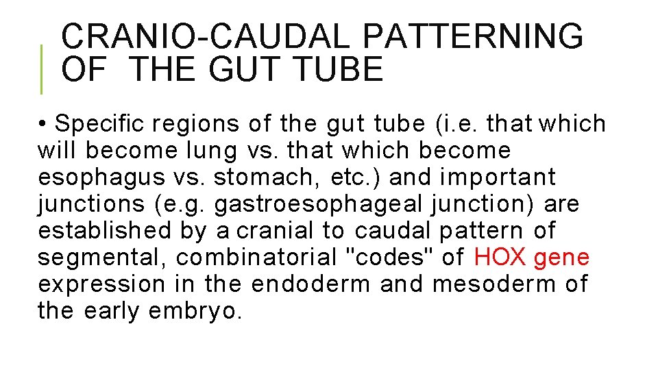 CRANIO-CAUDAL PATTERNING OF THE GUT TUBE • Specific regions of the gut tube (i.