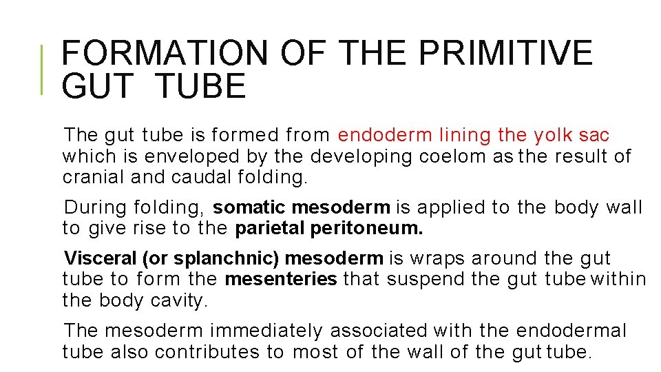 FORMATION OF THE PRIMITIVE GUT TUBE The gut tube is formed from endoderm lining