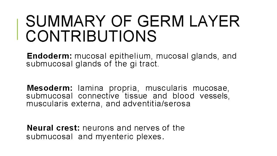 SUMMARY OF GERM LAYER CONTRIBUTIONS Endoderm: mucosal epithelium, mucosal glands, and submucosal glands of
