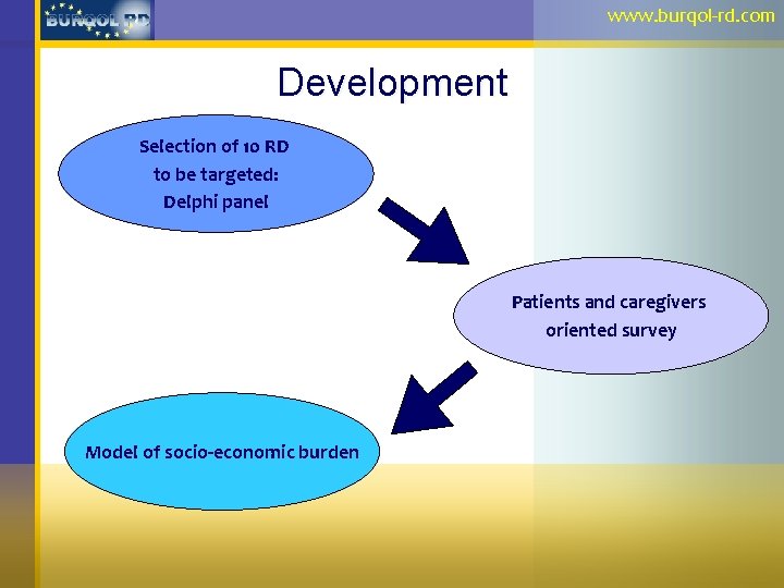 www. burqol-rd. com Development Selection of 10 RD to be targeted: Delphi panel Patients