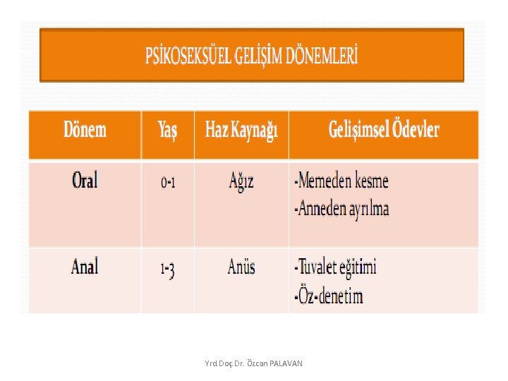 Yrd. Doç. Dr. Özcan PALAVAN 