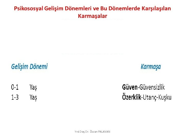 Yrd. Doç. Dr. Özcan PALAVAN 