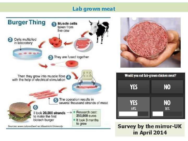 Lab grown meat Survey by the mirror-UK in April 2014 