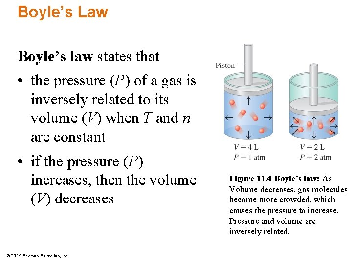 Boyle’s Law Boyle’s law states that • the pressure (P) of a gas is