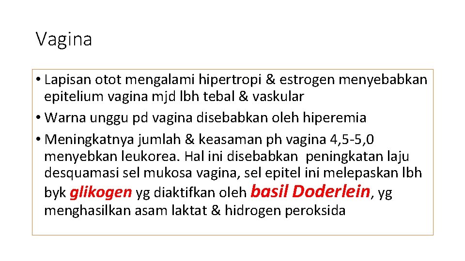 Vagina • Lapisan otot mengalami hipertropi & estrogen menyebabkan epitelium vagina mjd lbh tebal