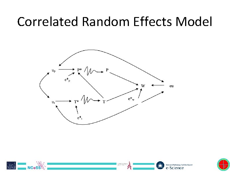 Correlated Random Effects Model 