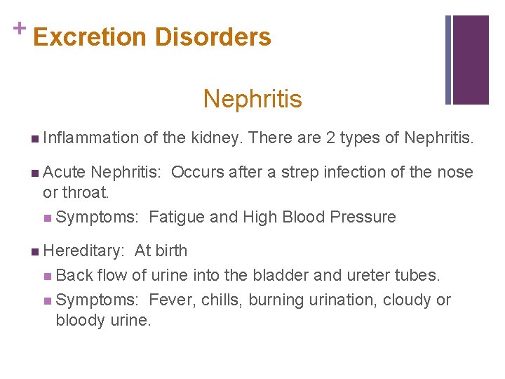 + Excretion Disorders Nephritis n Inflammation of the kidney. There are 2 types of