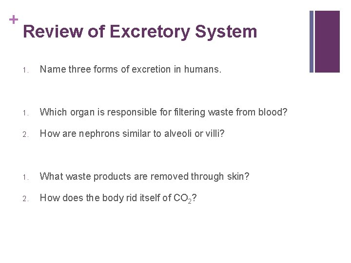 + Review of Excretory System 1. Name three forms of excretion in humans. 1.