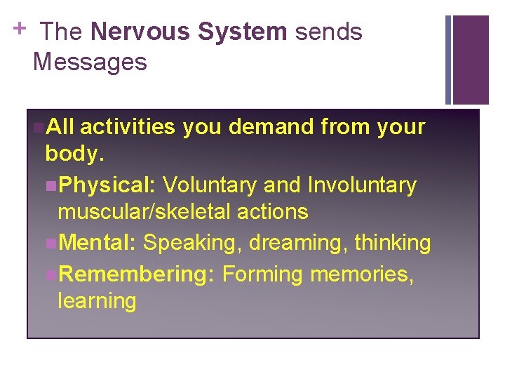 + The Nervous System sends Messages n. All activities you demand from your body.