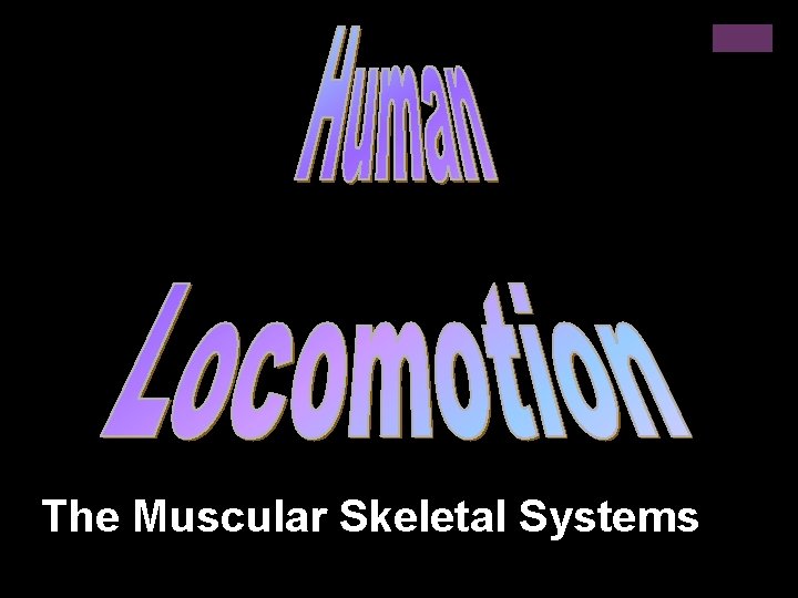 The Muscular Skeletal Systems 