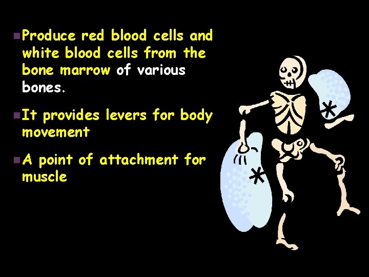 n Produce red blood cells and white blood cells from the bone marrow of