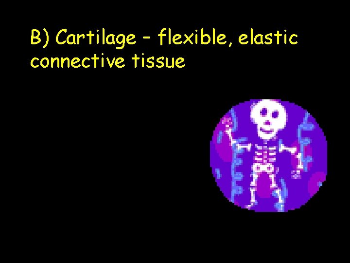 B) Cartilage – flexible, elastic connective tissue 