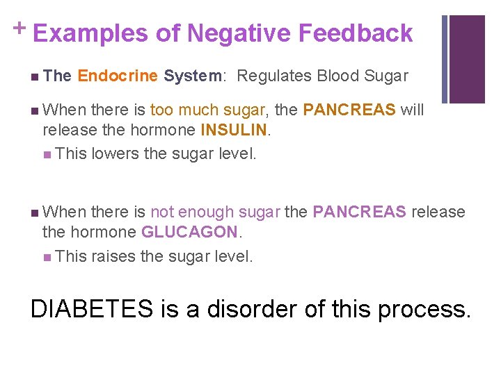 + Examples of Negative Feedback n The Endocrine System: Regulates Blood Sugar n When