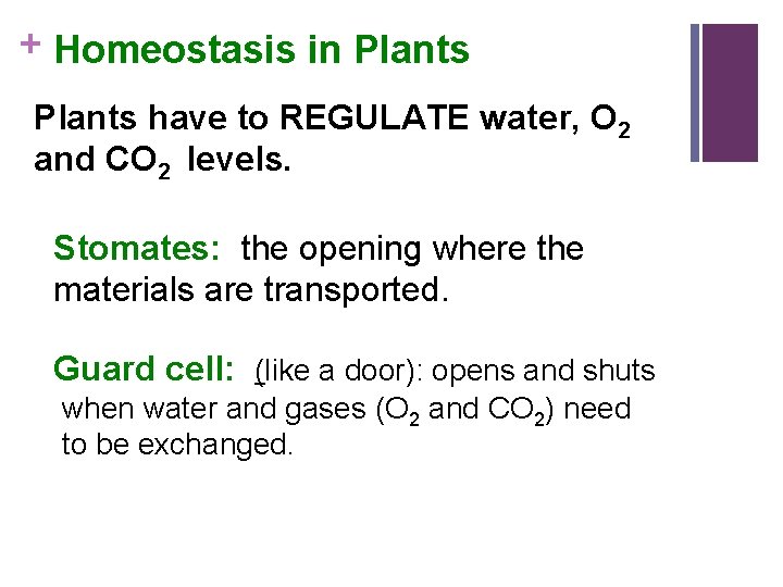 + Homeostasis in Plants have to REGULATE water, O 2 and CO 2 levels.