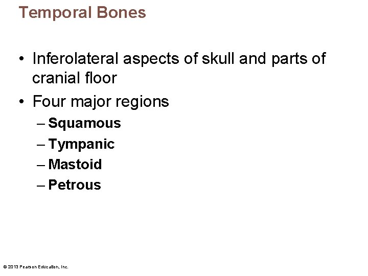 Temporal Bones • Inferolateral aspects of skull and parts of cranial floor • Four